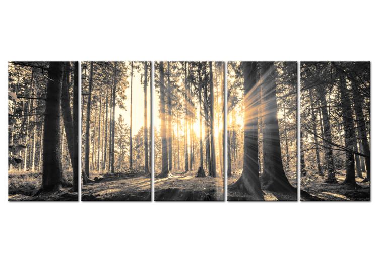 Canvas Guardians of Shadow (5-piece) - Forest in the Glow of Sunrise