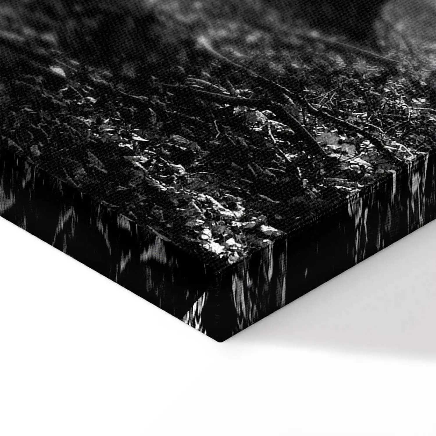 Art Work Monochrome Forest - bimago