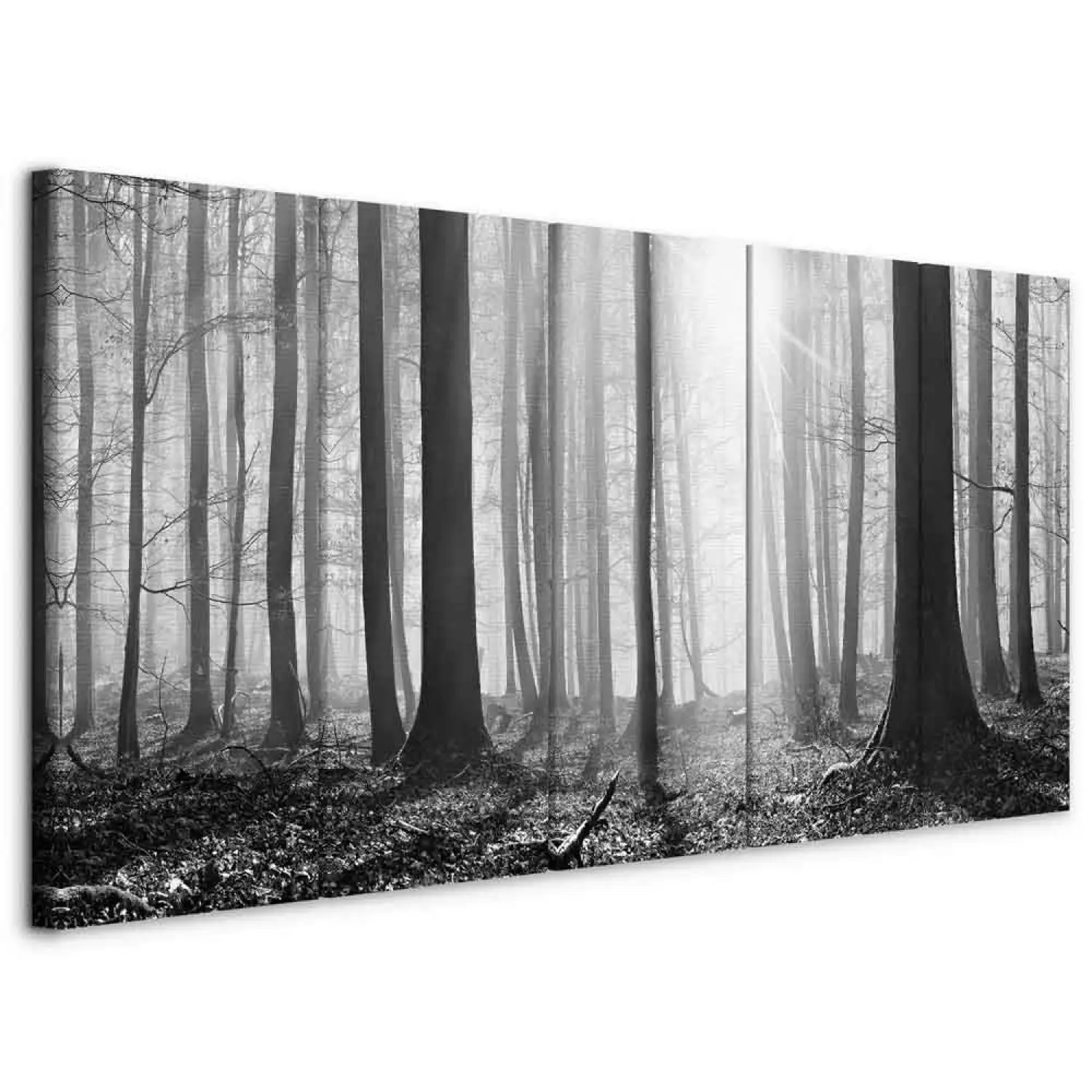 Art Work Monochrome Forest - bimago