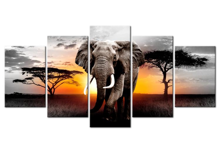 Canvas Elephant at Sunset (5-piece) - Journey Through Wild Africa