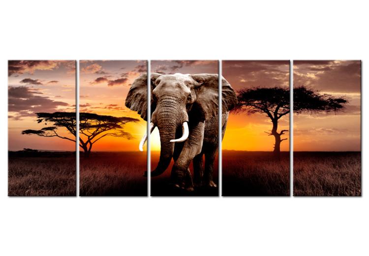 Canvas African Elephant (5-piece) - Animal Against a Sunset Background
