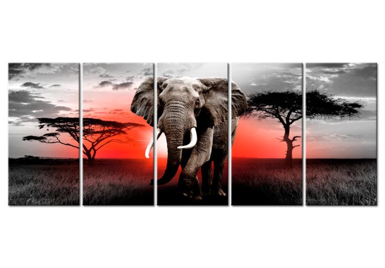 Canvas Sunset Over the Savanna (5-piece) - Elephant Against an African Sunset