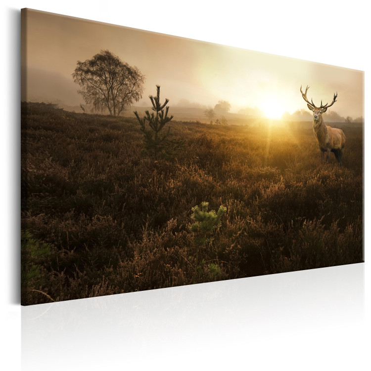 Canvas Foggy Field 106100 additionalImage 2