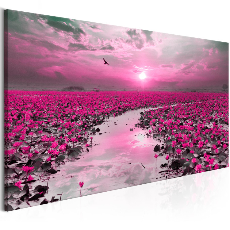 Canvas Art Print Lilies and Sunset (1-part) Wide - Landscape of Flower Field 107300 additionalImage 2