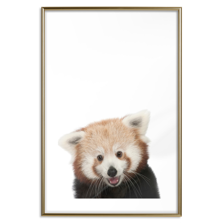 Wall Poster Young Panda - composition for children with a cheerful animal on a white background 114400 additionalImage 14