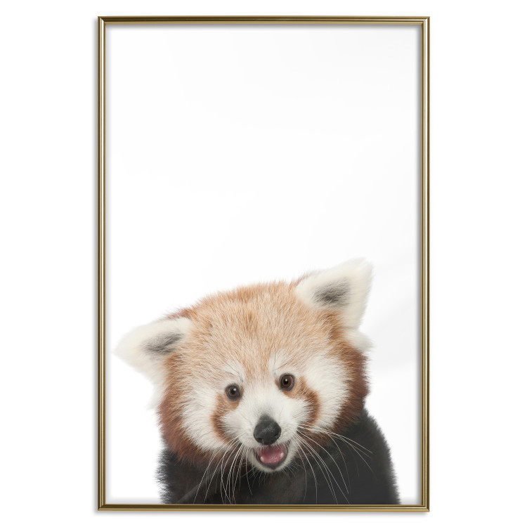 Wall Poster Young Panda - composition for children with a cheerful animal on a white background 114400 additionalImage 16