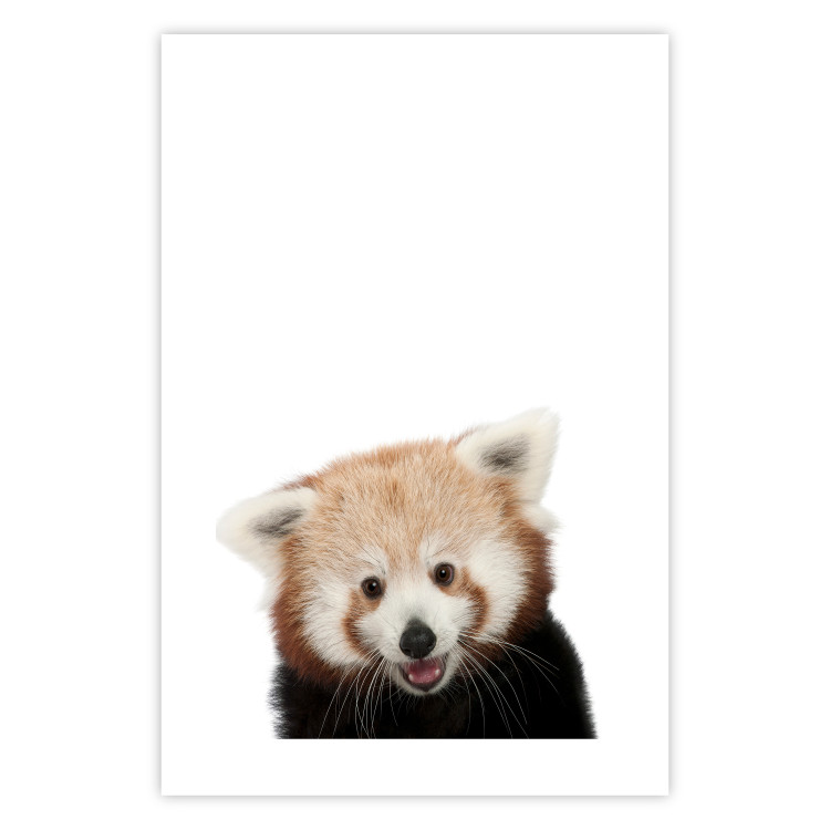 Wall Poster Young Panda - composition for children with a cheerful animal on a white background 114400 additionalImage 19