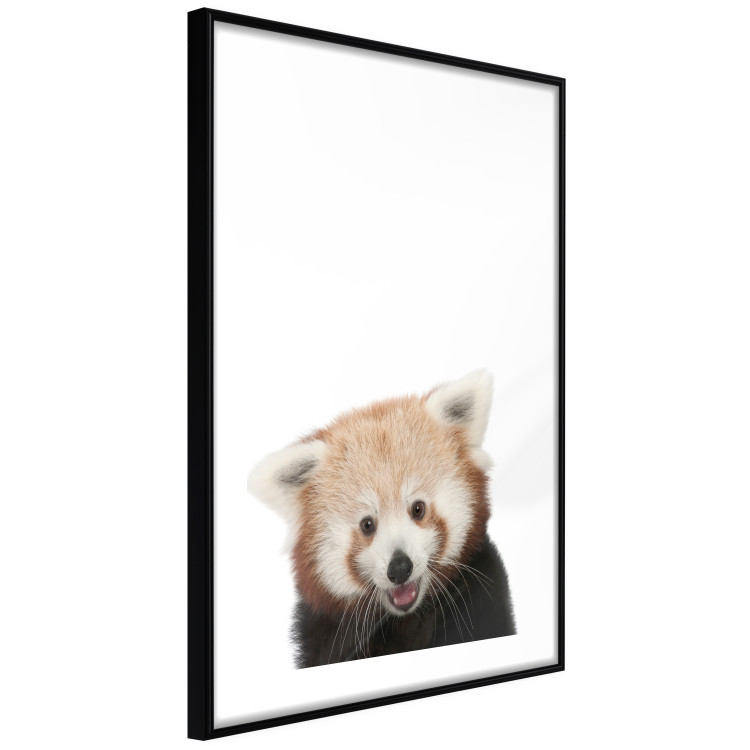 Wall Poster Young Panda - composition for children with a cheerful animal on a white background 114400 additionalImage 11