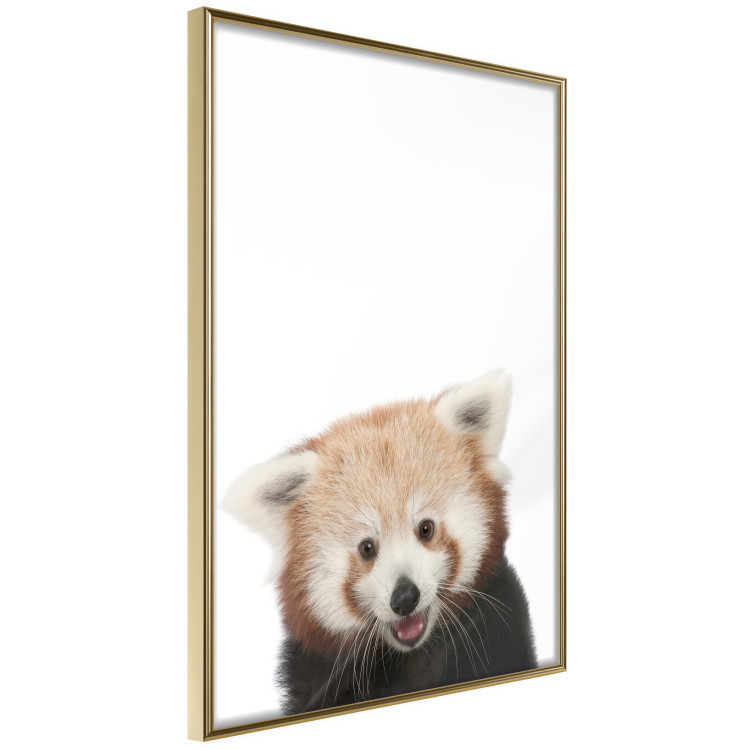 Wall Poster Young Panda - composition for children with a cheerful animal on a white background 114400 additionalImage 12