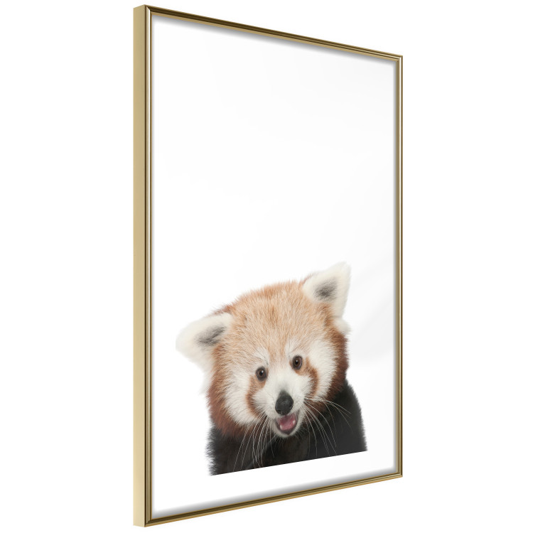 Wall Poster Young Panda - composition for children with a cheerful animal on a white background 114400 additionalImage 6