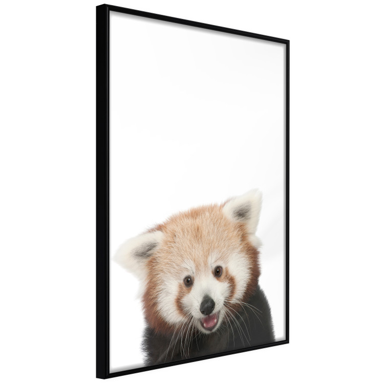 Wall Poster Young Panda - composition for children with a cheerful animal on a white background 114400 additionalImage 10