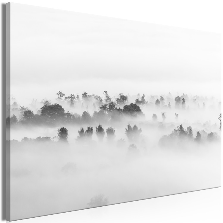Canvas Print Misty Forest Landscape (1-part) - Trees Veiled Under White Curtain 114900 additionalImage 2