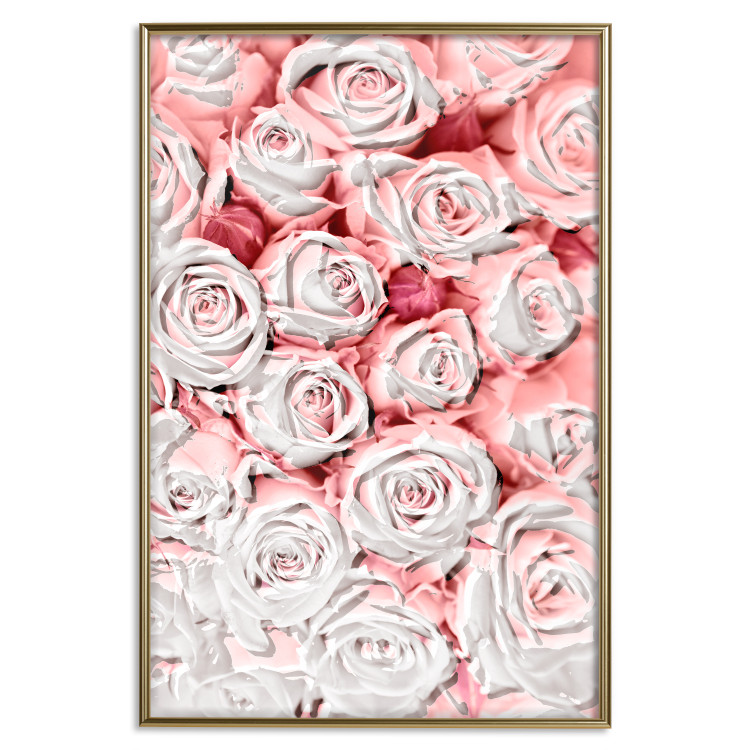 Poster White Roses - beautiful composition of lovely flowers in light pink color 117900 additionalImage 16