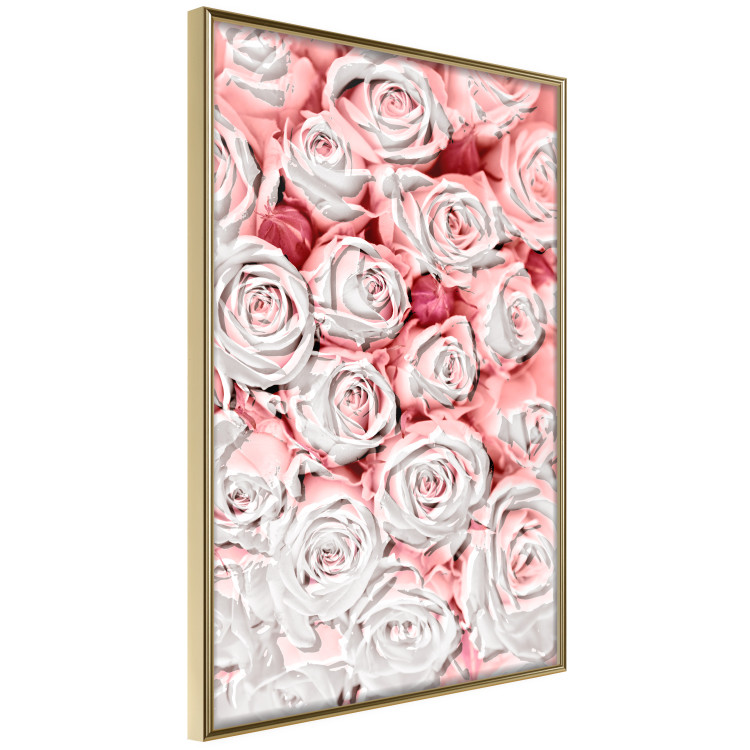 Poster White Roses - beautiful composition of lovely flowers in light pink color 117900 additionalImage 14