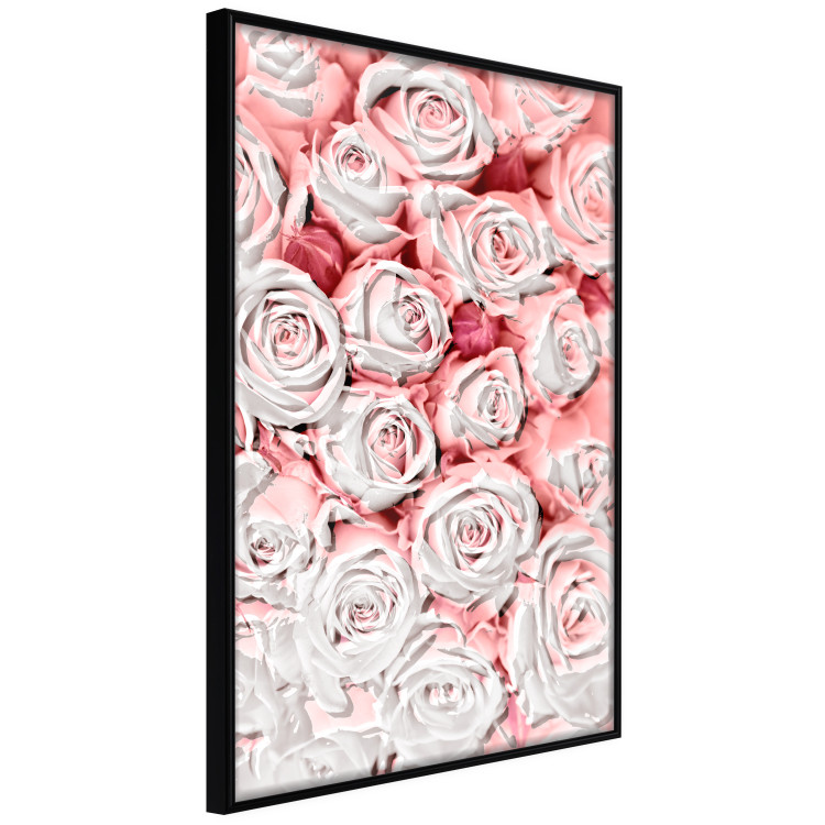 Poster White Roses - beautiful composition of lovely flowers in light pink color 117900 additionalImage 12
