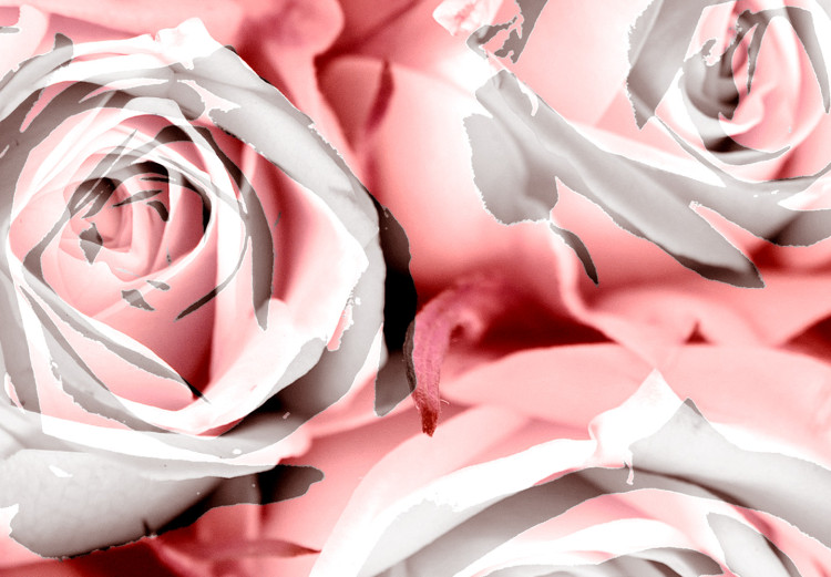 Poster White Roses - beautiful composition of lovely flowers in light pink color 117900 additionalImage 11