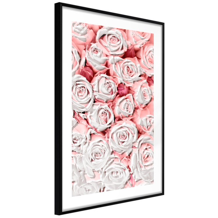 Poster White Roses - beautiful composition of lovely flowers in light pink color 117900 additionalImage 11