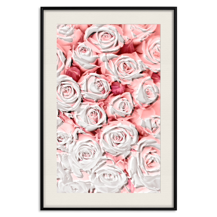 Poster White Roses - beautiful composition of lovely flowers in light pink color 117900 additionalImage 26