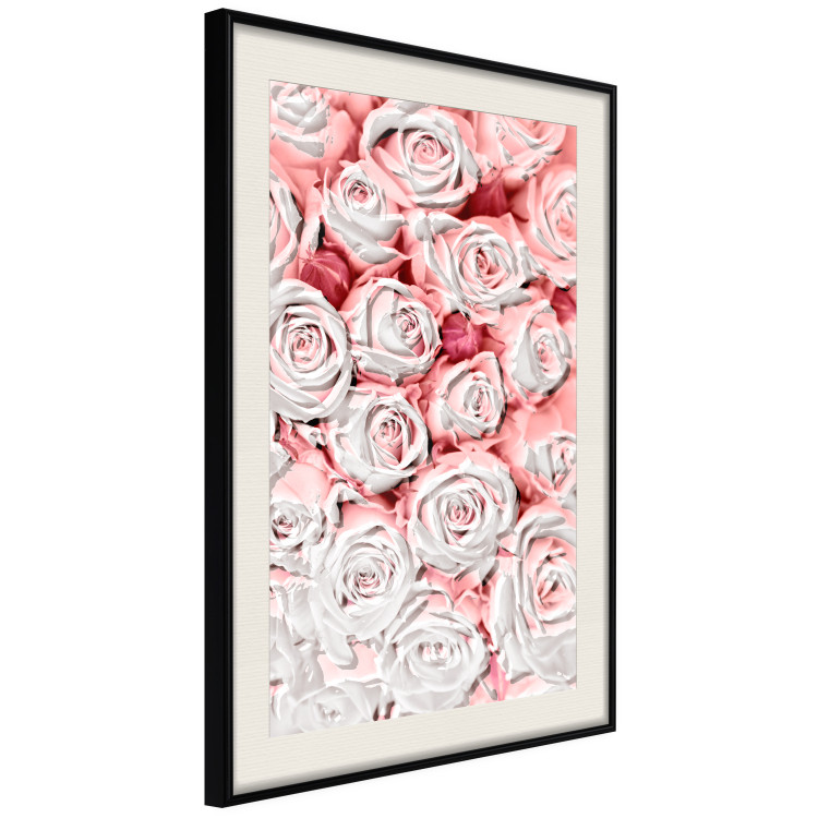 Poster White Roses - beautiful composition of lovely flowers in light pink color 117900 additionalImage 3