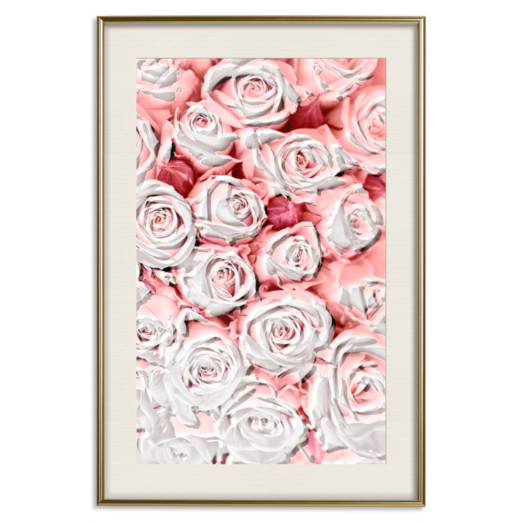 Poster White Roses - beautiful composition of lovely flowers in light pink color 117900 additionalImage 27