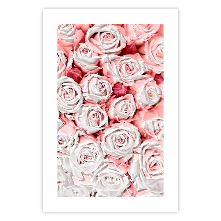 Poster White Roses - beautiful composition of lovely flowers in light pink color 117900 additionalImage 18