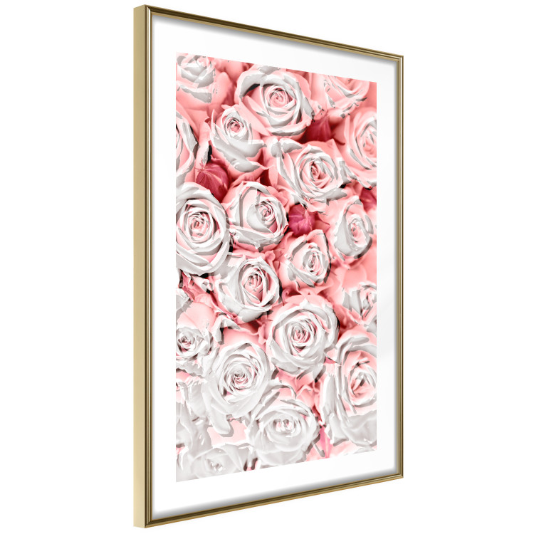 Poster White Roses - beautiful composition of lovely flowers in light pink color 117900 additionalImage 6