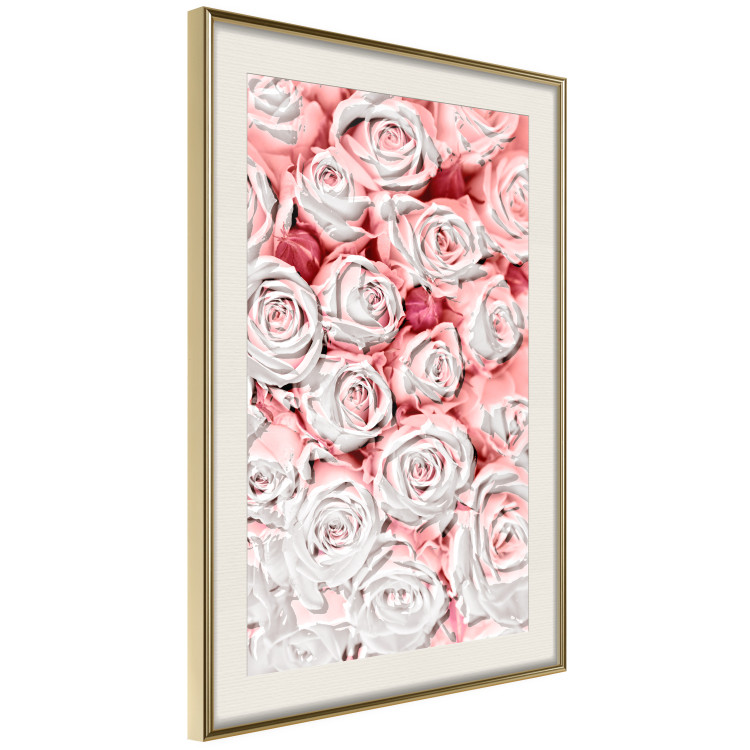 Poster White Roses - beautiful composition of lovely flowers in light pink color 117900 additionalImage 2