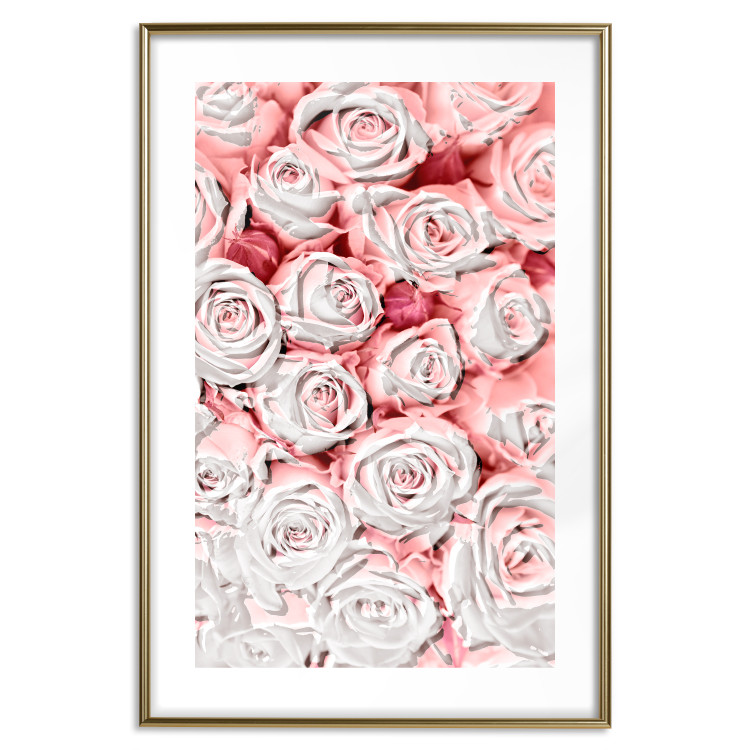Poster White Roses - beautiful composition of lovely flowers in light pink color 117900 additionalImage 17