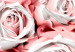 Poster White Roses - beautiful composition of lovely flowers in light pink color 117900 additionalThumb 9