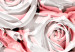 Poster White Roses - beautiful composition of lovely flowers in light pink color 117900 additionalThumb 8