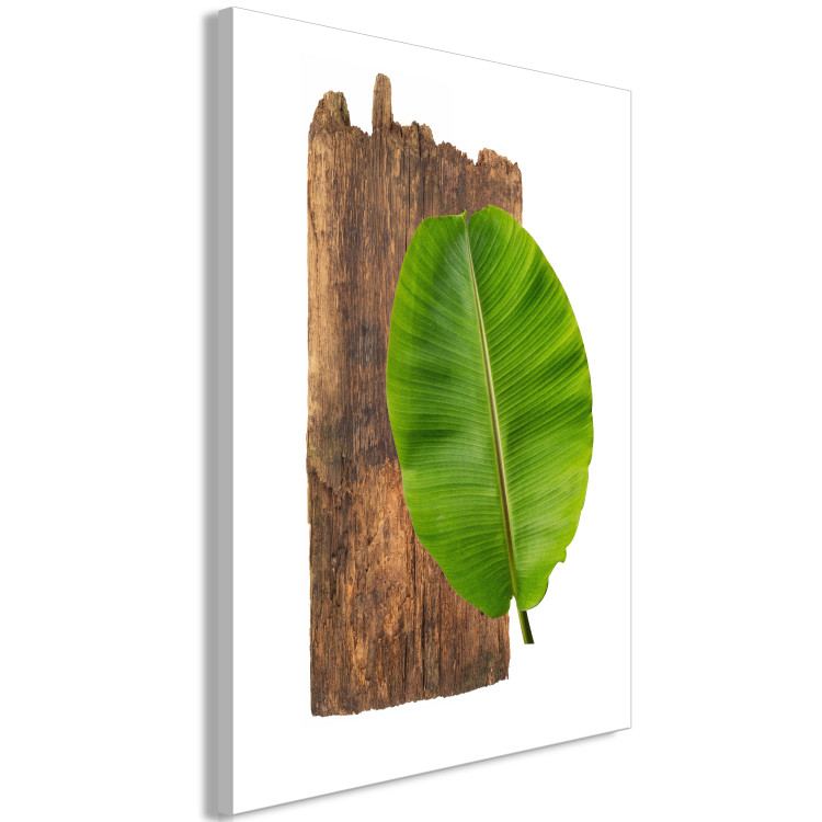 Canvas Print Plant zodiac: Pisces - minimalist, botanical composition 122600 additionalImage 2