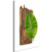 Canvas Print Plant zodiac: Pisces - minimalist, botanical composition 122600 additionalThumb 2