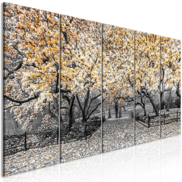 Canvas Art Print Blooming magnolia trees - black and white photo with yellow accents 123100 additionalImage 2