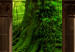 Canvas Art Print Fairy Tale Forest (1 Part) Wide 124000 additionalThumb 4