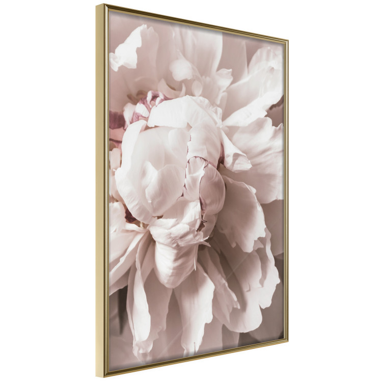 Wall Poster Rhythmic Delicacy - light pink flowers in a natural composition 127400 additionalImage 12