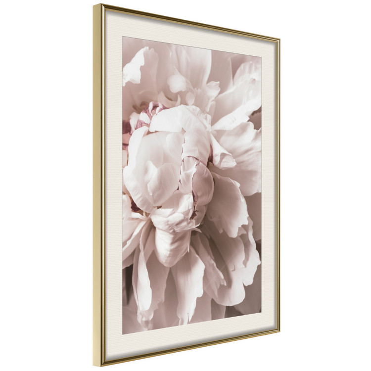 Wall Poster Rhythmic Delicacy - light pink flowers in a natural composition 127400 additionalImage 3