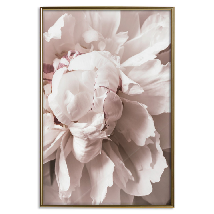 Wall Poster Rhythmic Delicacy - light pink flowers in a natural composition 127400 additionalImage 17