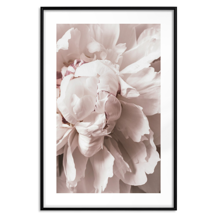 Wall Poster Rhythmic Delicacy - light pink flowers in a natural composition 127400 additionalImage 15