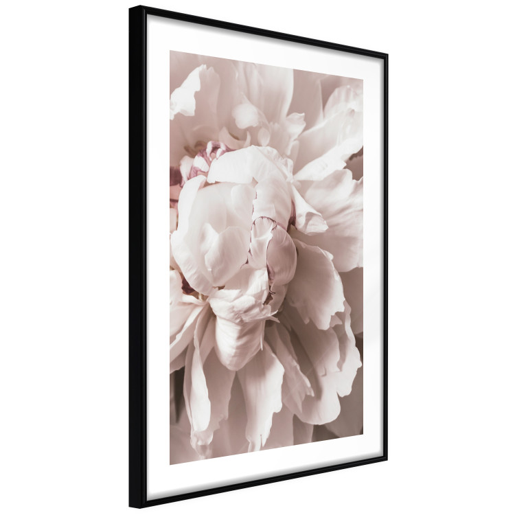 Wall Poster Rhythmic Delicacy - light pink flowers in a natural composition 127400 additionalImage 6