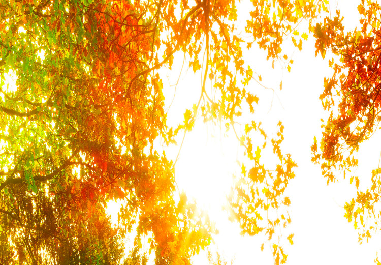 Large canvas print Enchanting Autumn [Large Format] 128900 additionalImage 4