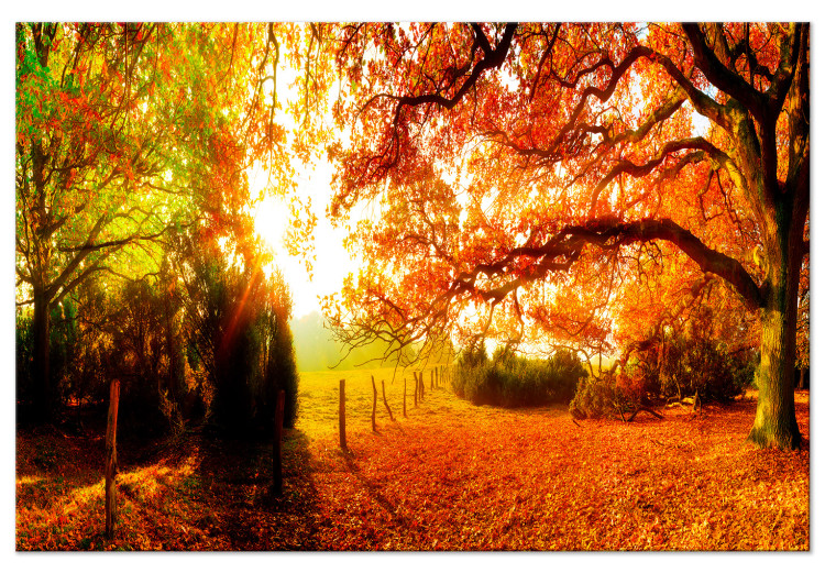 Large canvas print Enchanting Autumn [Large Format] 128900