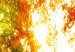 Large canvas print Enchanting Autumn [Large Format] 128900 additionalThumb 4