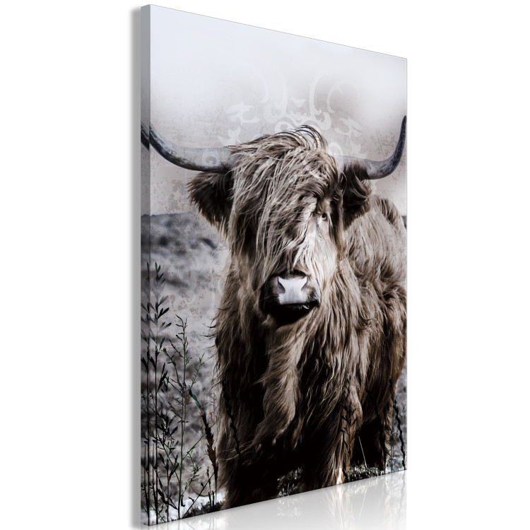 Canvas Highland Cow in Sepia - wild animal with long hair on a light background 134700 additionalImage 2