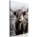 Canvas Highland Cow in Sepia - wild animal with long hair on a light background 134700 additionalThumb 2