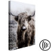 Canvas Highland Cow in Sepia - wild animal with long hair on a light background 134700 additionalThumb 6