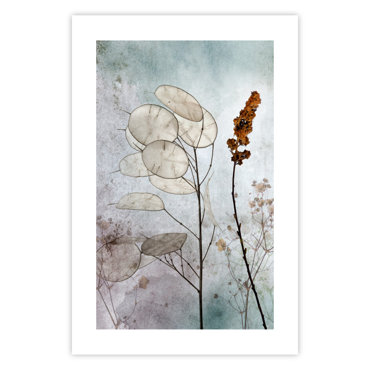 Poster Misty Lunaria - romantic meadow composition with flowers on a light background 135100 additionalImage 25
