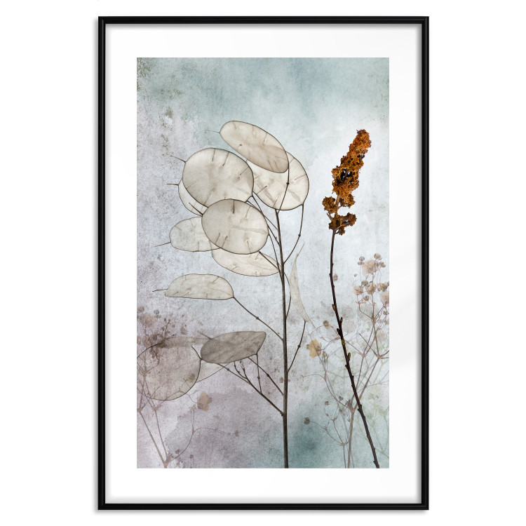 Poster Misty Lunaria - romantic meadow composition with flowers on a light background 135100 additionalImage 15