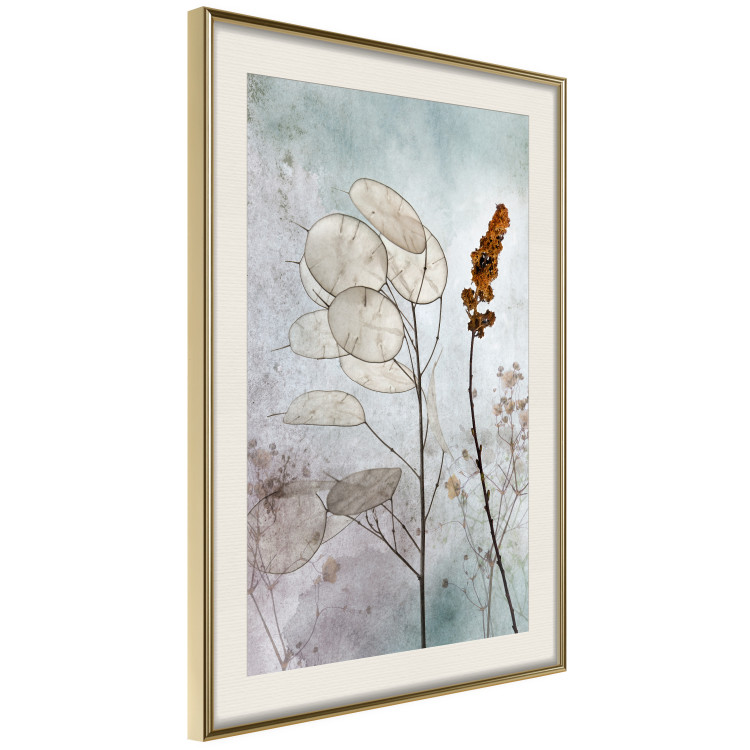 Poster Misty Lunaria - romantic meadow composition with flowers on a light background 135100 additionalImage 2