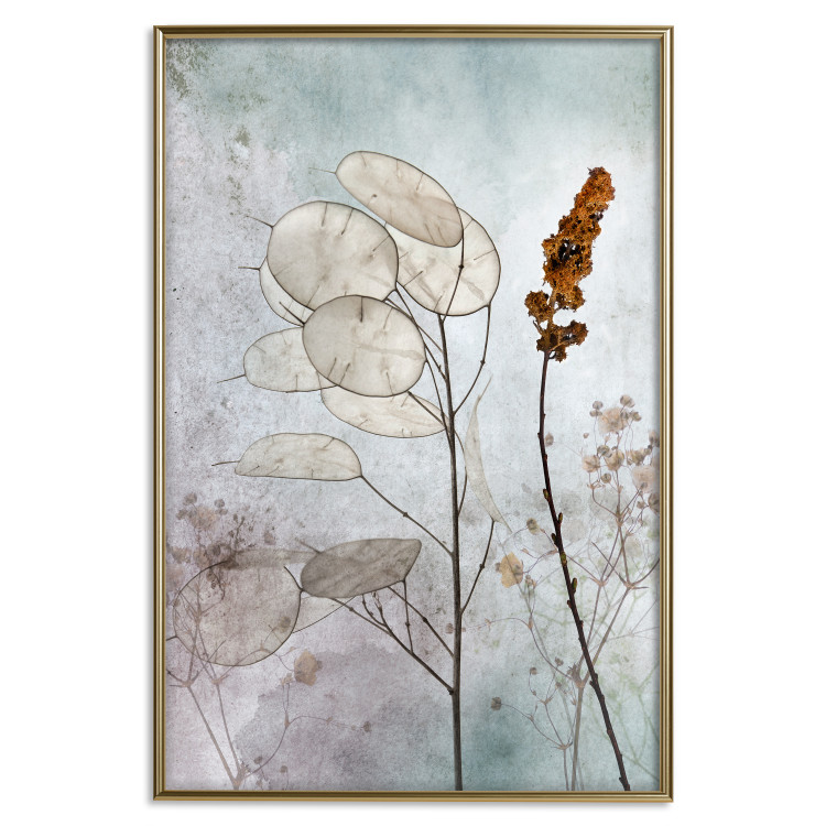 Poster Misty Lunaria - romantic meadow composition with flowers on a light background 135100 additionalImage 17