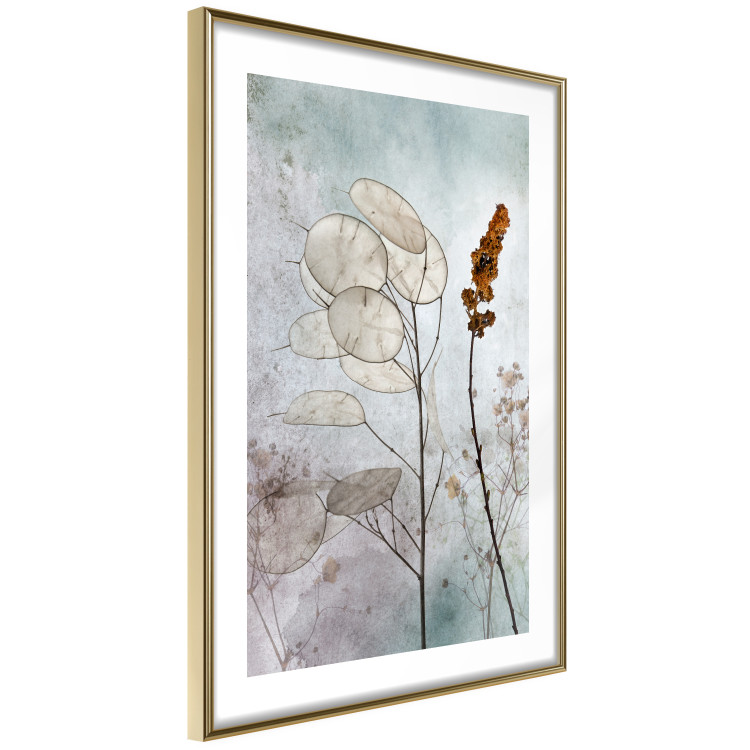 Poster Misty Lunaria - romantic meadow composition with flowers on a light background 135100 additionalImage 7